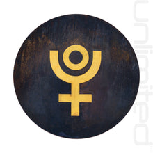 Load image into Gallery viewer, FALSE